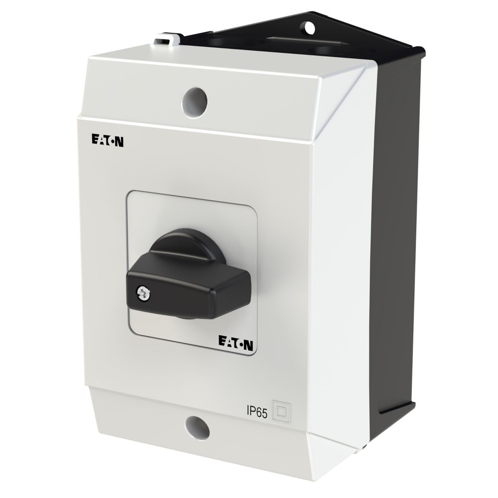 Werkschakelaar 2-polig 20A 90° opbouw Eaton